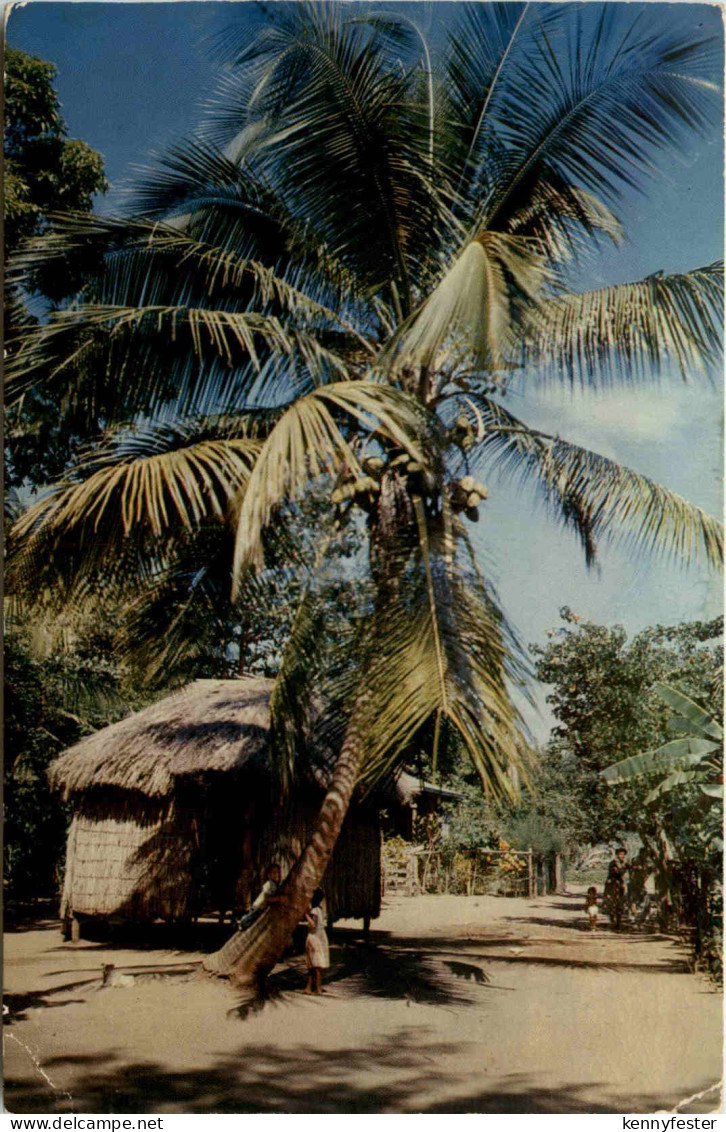 Greetings from Martinique