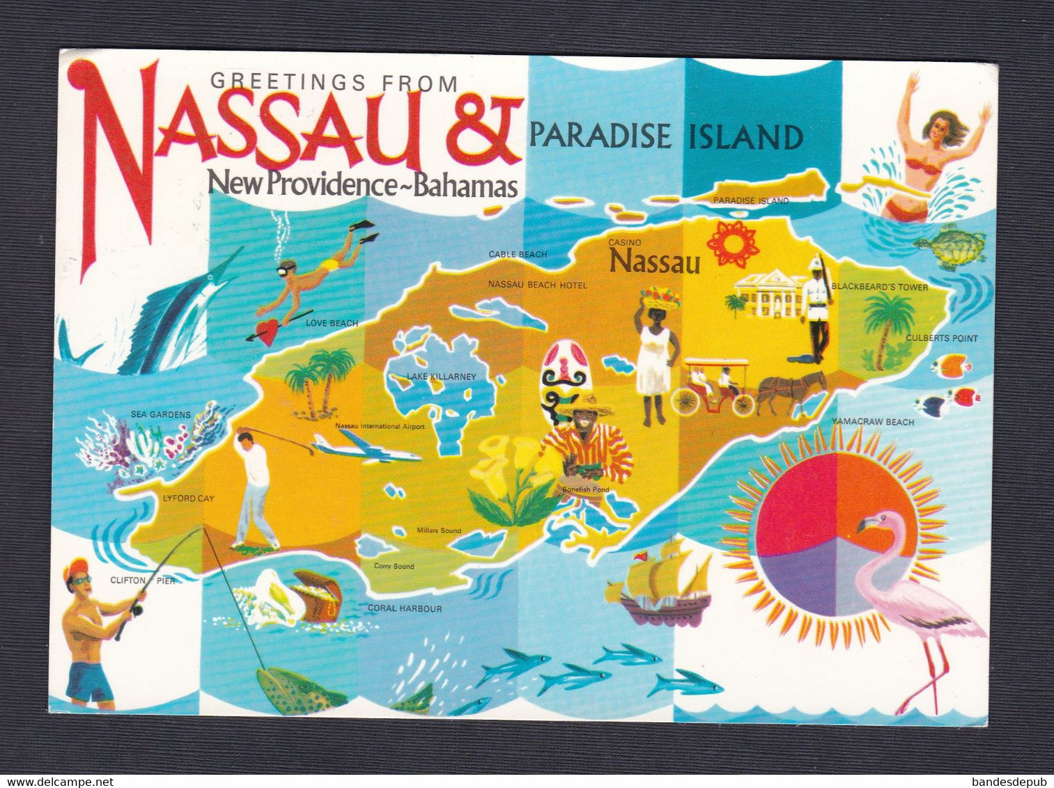 Greetings from NASSAU & New Providence Bahama Paradise Island