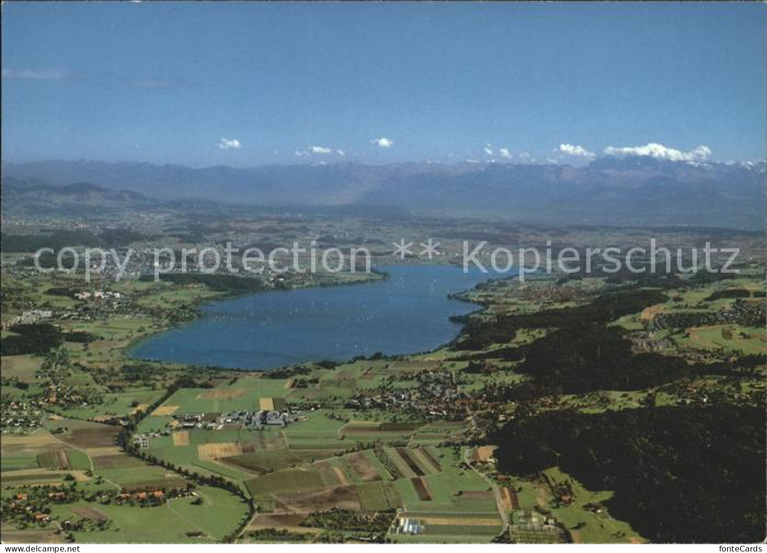 Greifensee mit Alpenpanorama