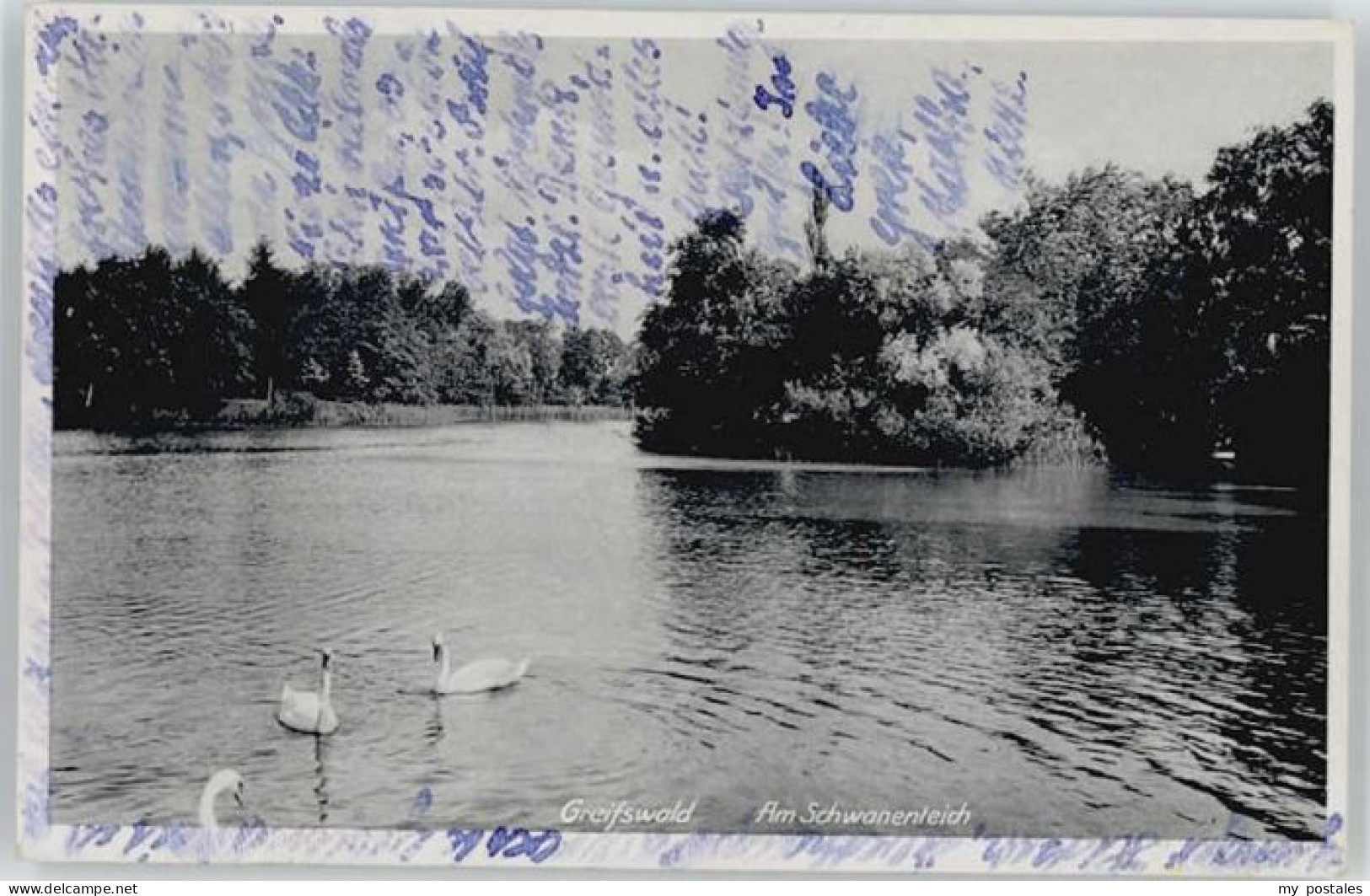 Greifswald Mecklenburg Vorpommern Greifswald Schwanenteich
