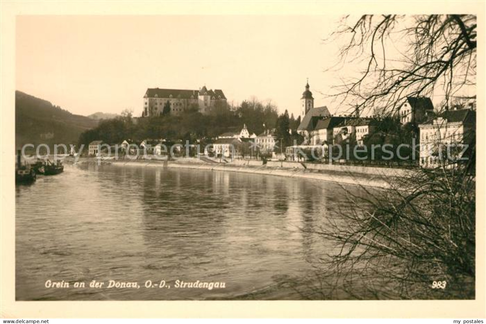 Grein Donau Oberoesterreich Strudengau Donaupartie