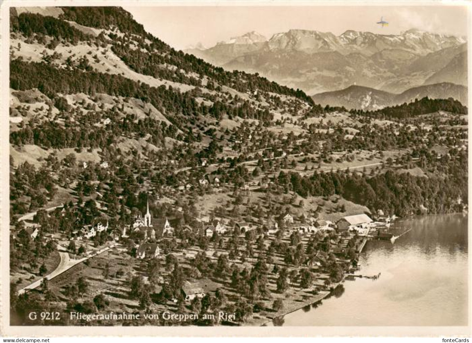 Greppen LZ Panorama Alpen