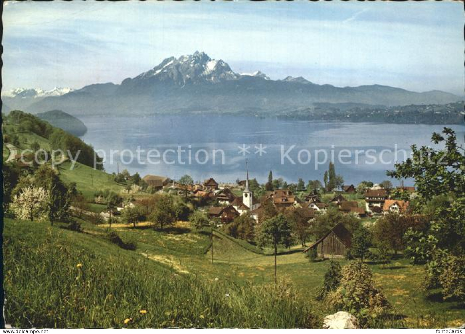Greppen Vierwaldstaettersee