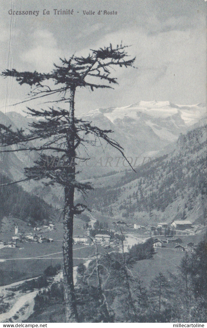 GRESSONEY LA TRINITE' - Veduta