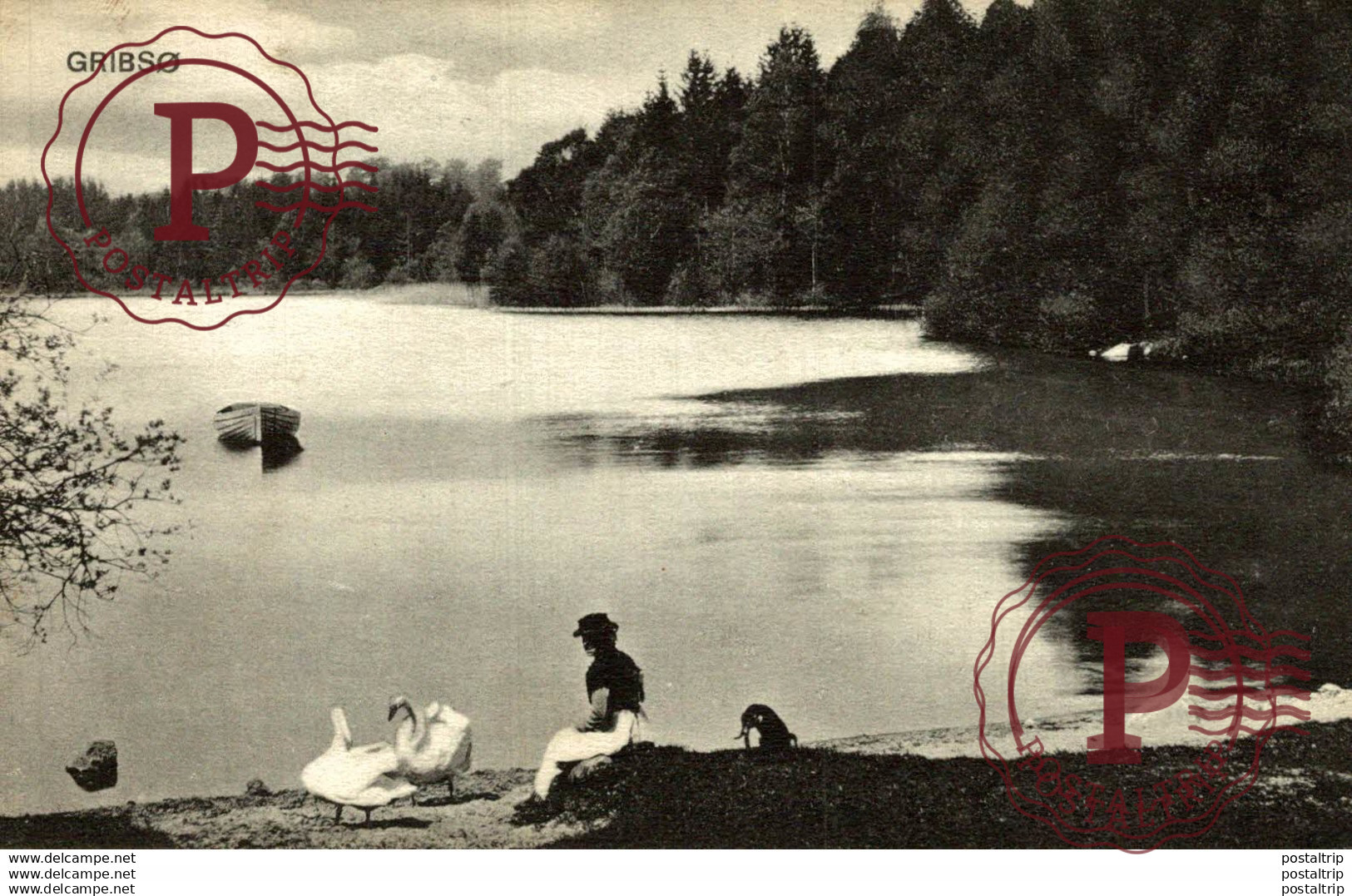 Gribso   Dänemark  denmark dinamarca