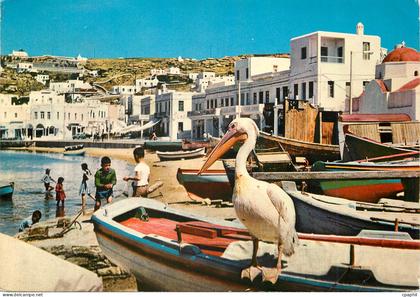 CPM Ile de Myconos aPierrou le pelican de l Ile