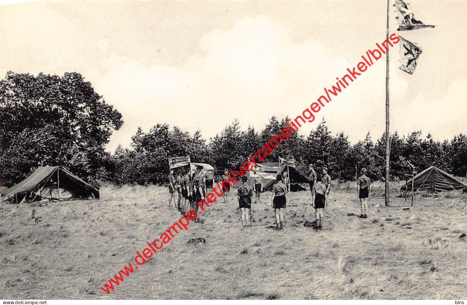 Grimbie - K. A. Kampeerterreinen - Maasmechelen