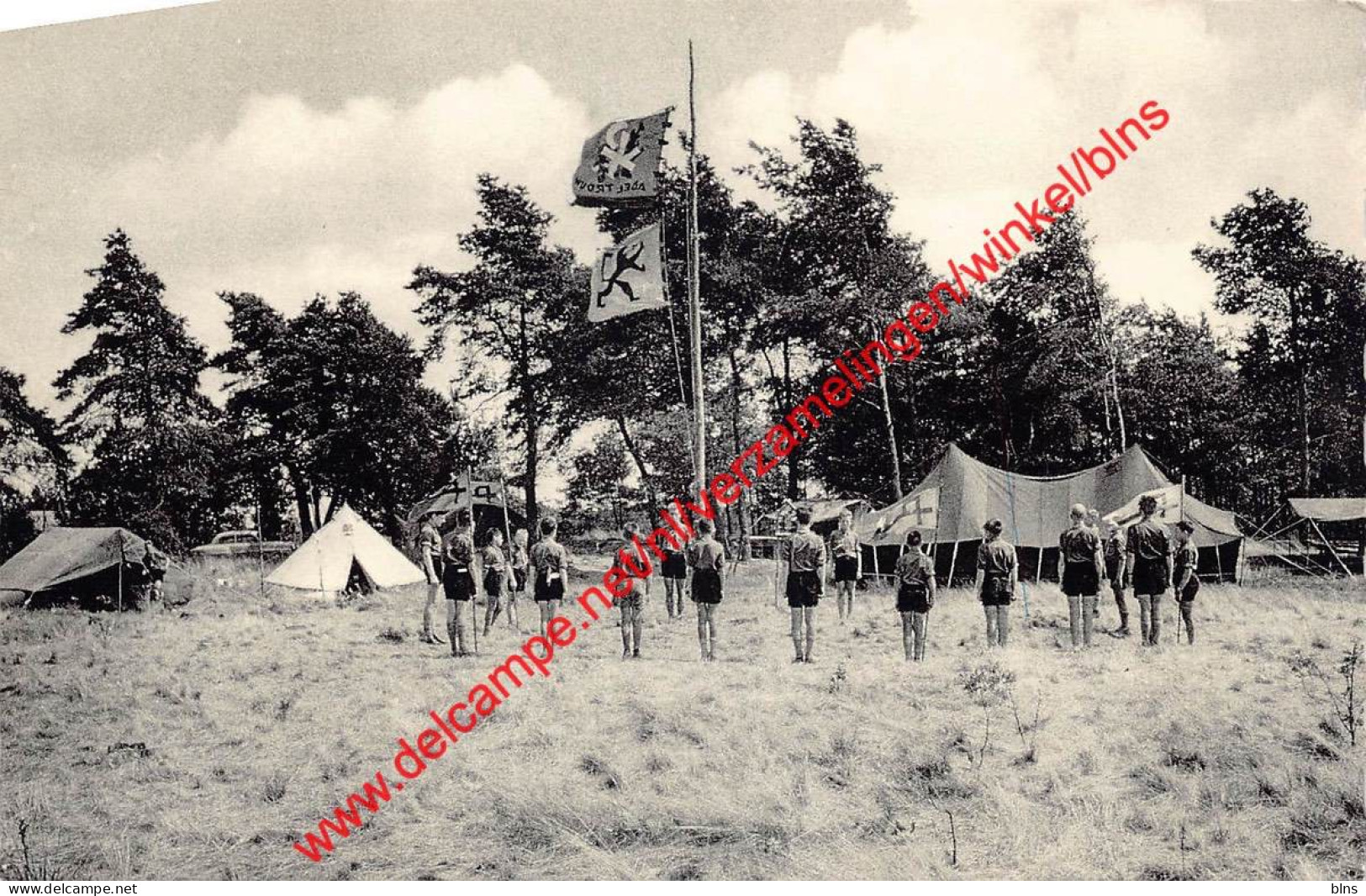 Grimbie - K. A. Kampeerterreinen - Maasmechelen