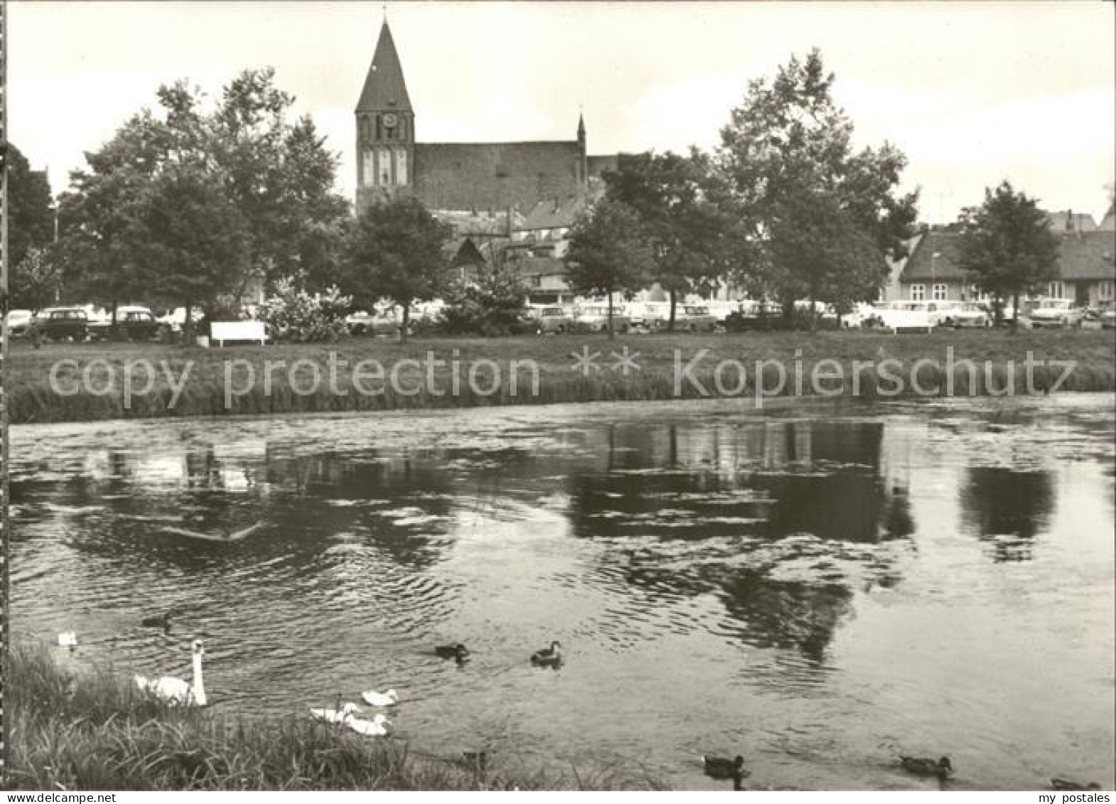 Grimmen Im Park Schwanenteich