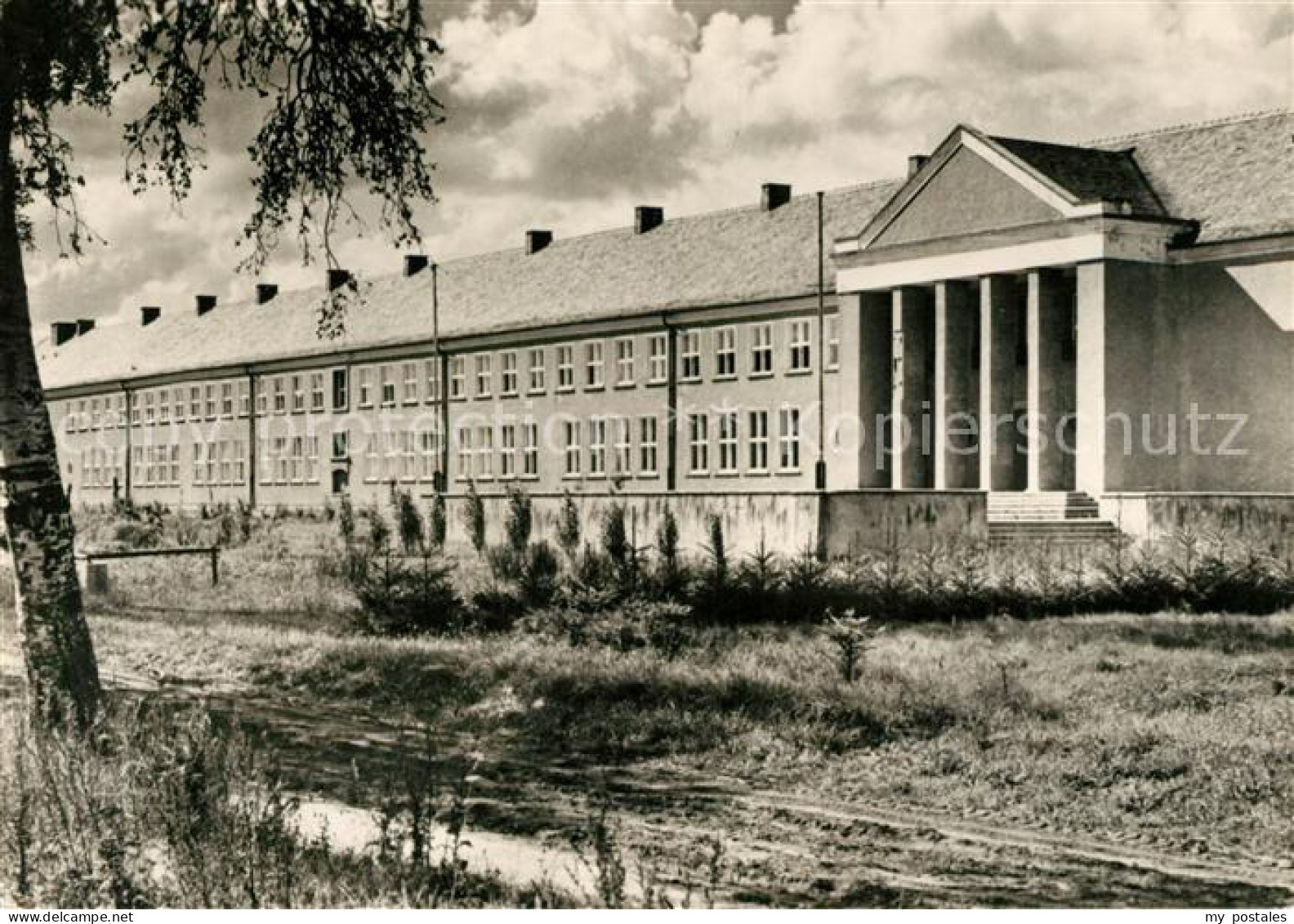Grimmen Oberschule Robert Koch