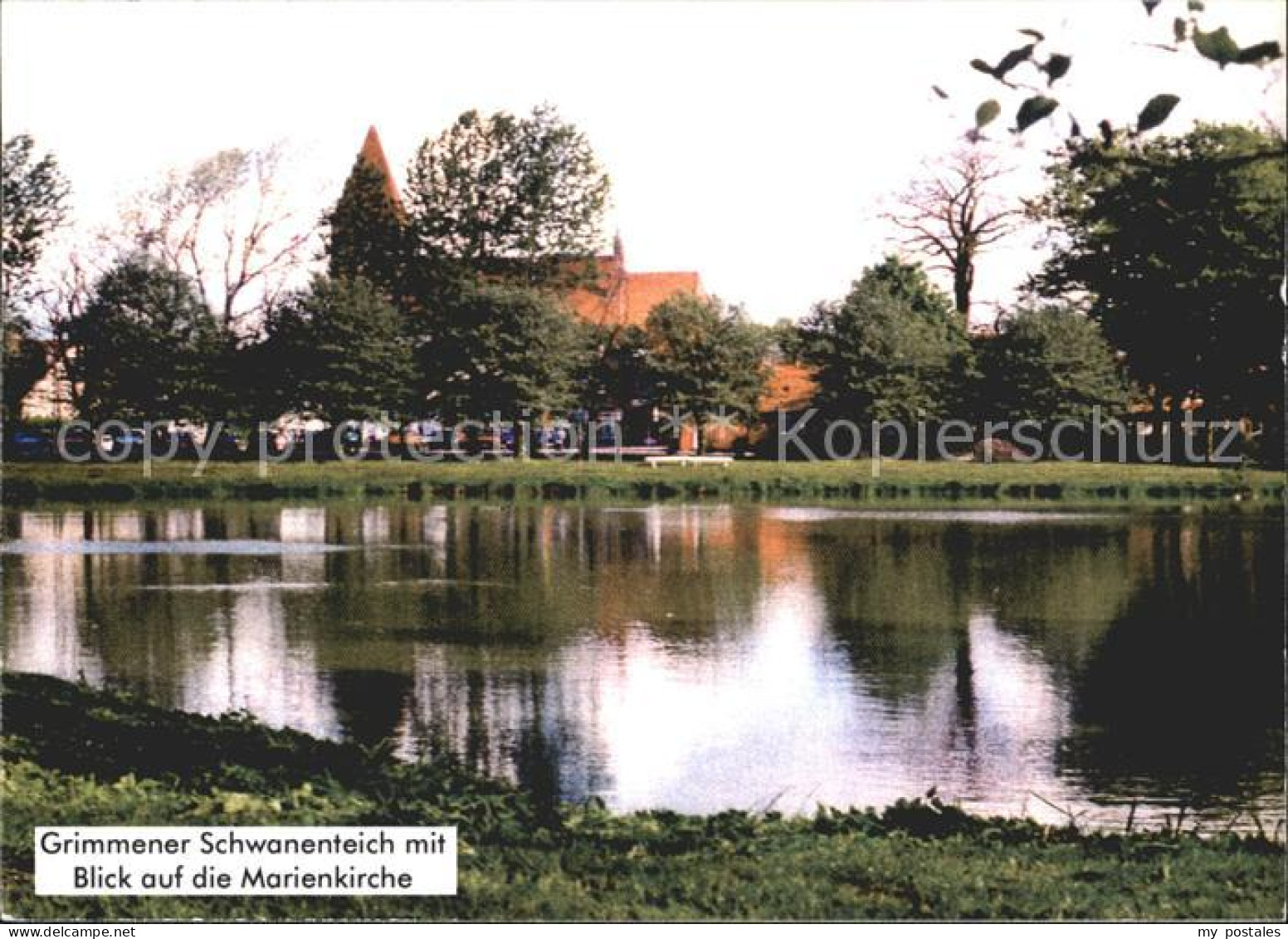 Grimmen Schwanenteich Marienkirche
