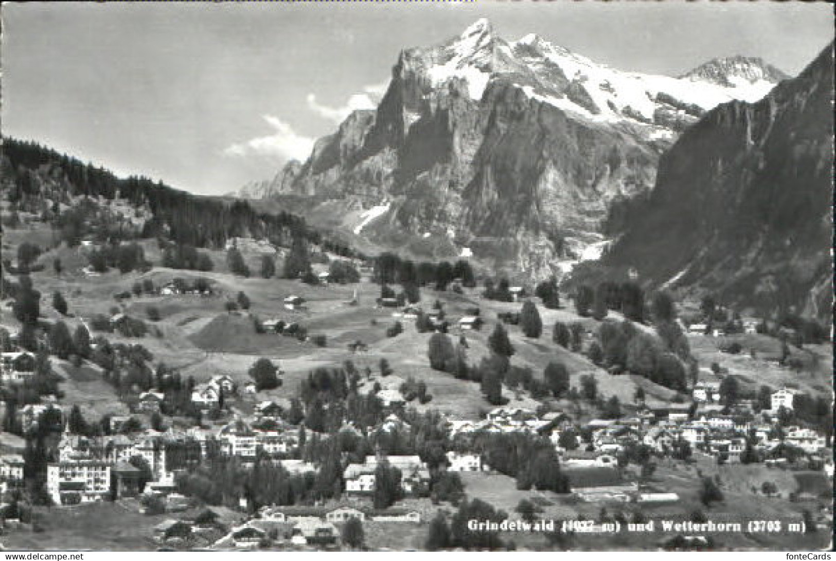 Grindelwald Grindelwald Wetterhorn