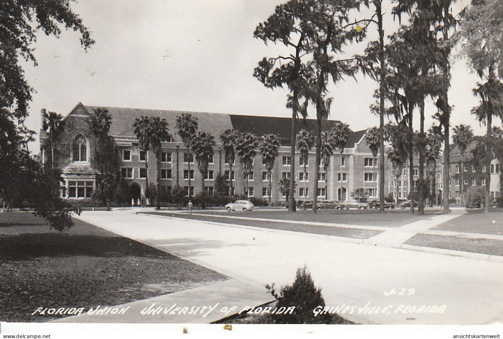 Grines Ville Fl. University of Florida ngl #C5322