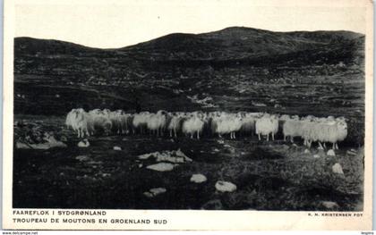 GROENLAND -- Troupeau de Moutons