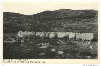 réf : BO-13-188 :  Groenland troupeau de moutons