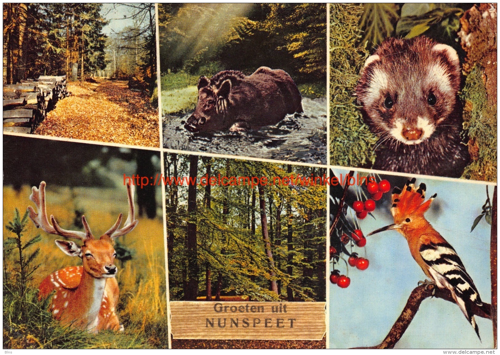 Groeten uit Â… - Nunspeet