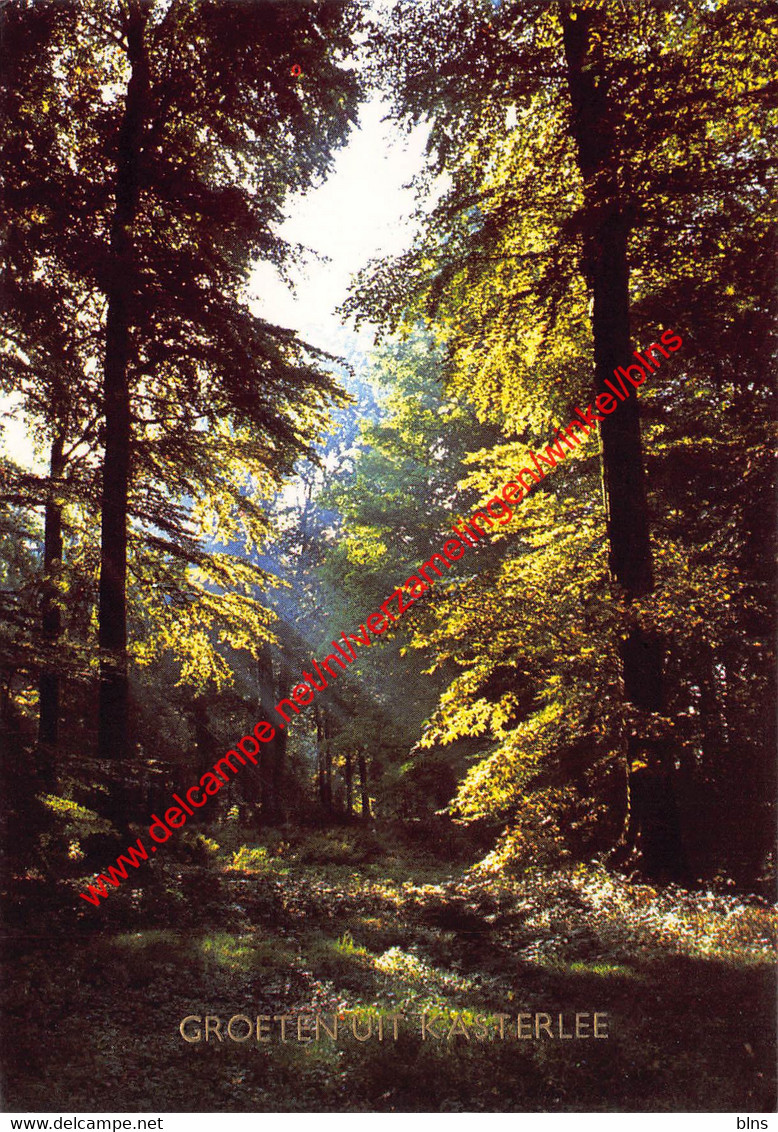 Groeten uit … - Kasterlee