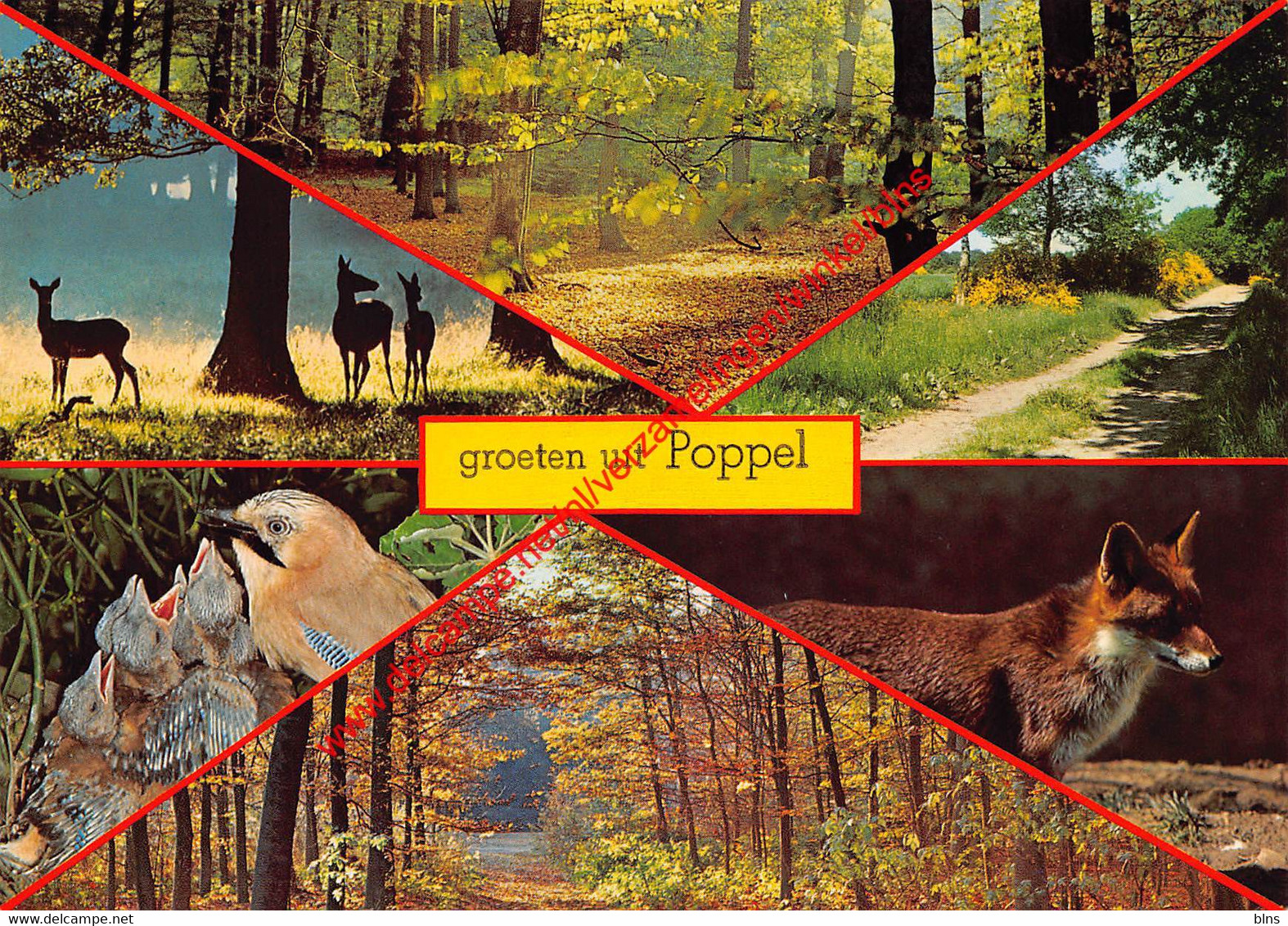 Groeten uit … - Poppel Ravels