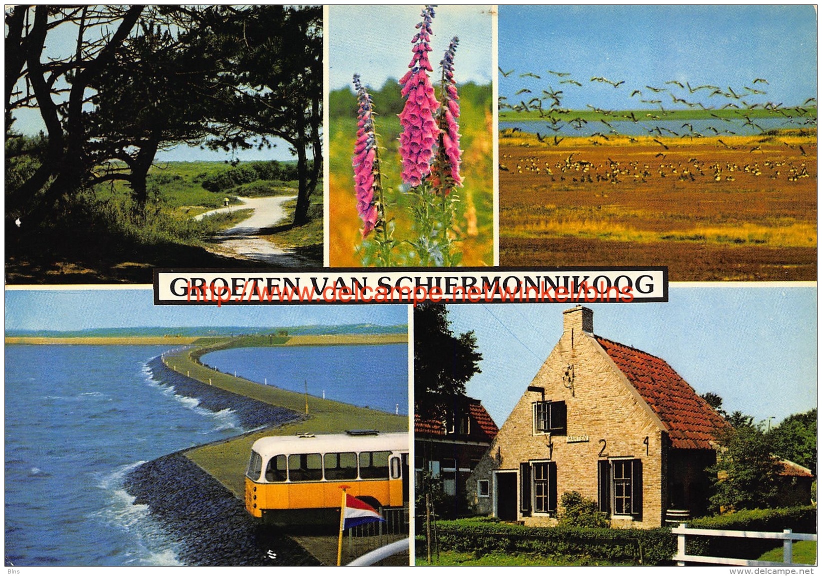 Groeten uit Schiermonnikoog