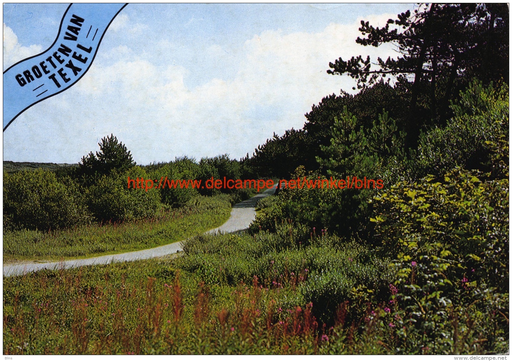 Groeten van Texel