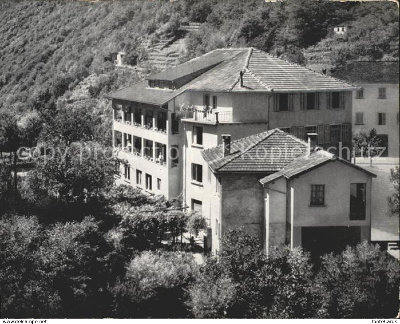 Grono Opera Mater Christi