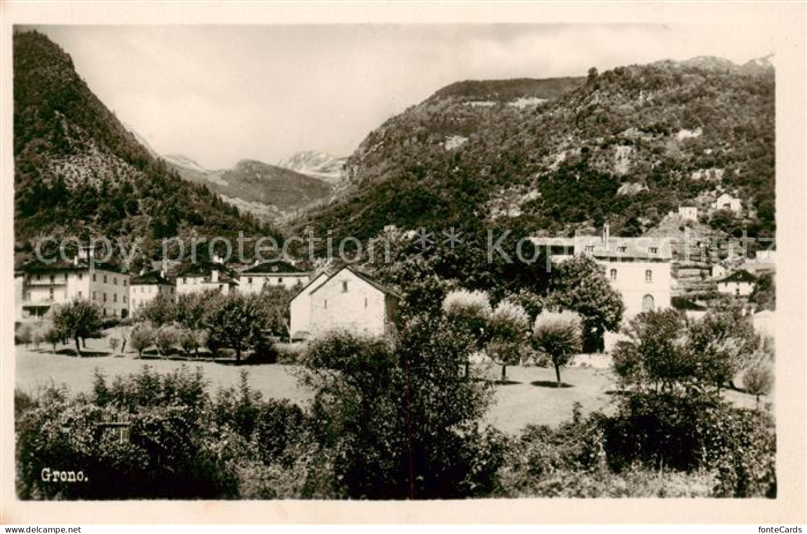 Grono TI Teilansicht