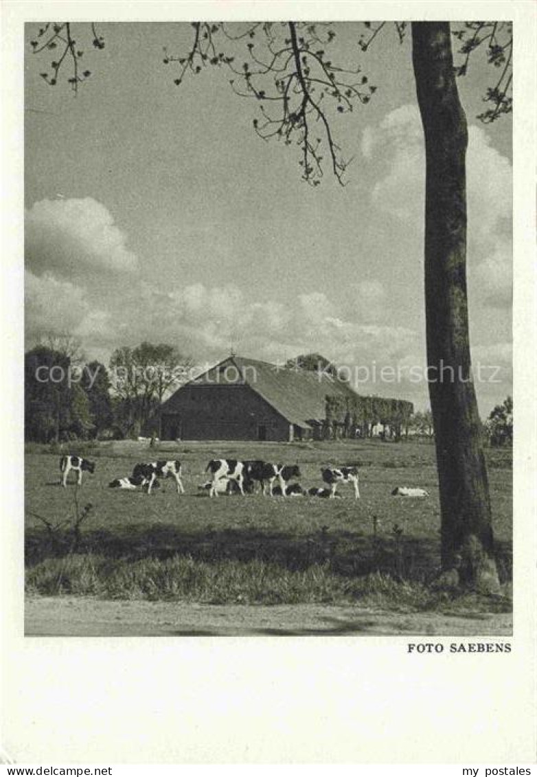 Groothusen Krummhoern Aurich Niedersachsen Gehoeft Viehweide