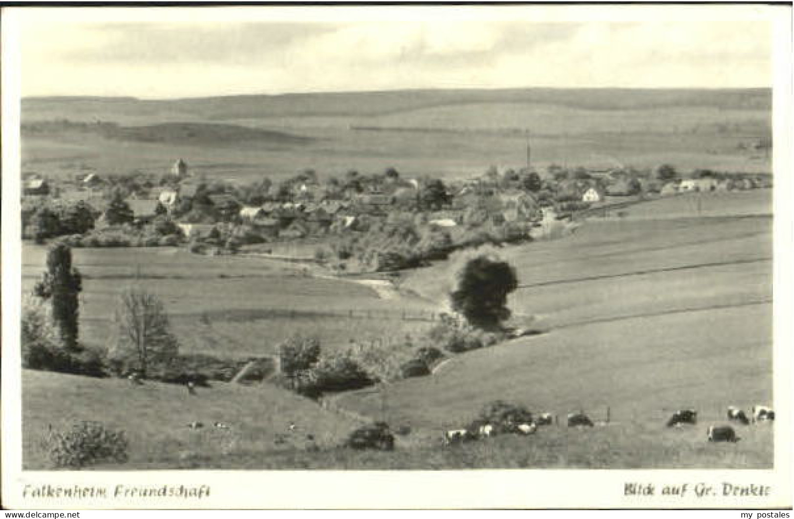 Gross Denkte Freundschaft Asse