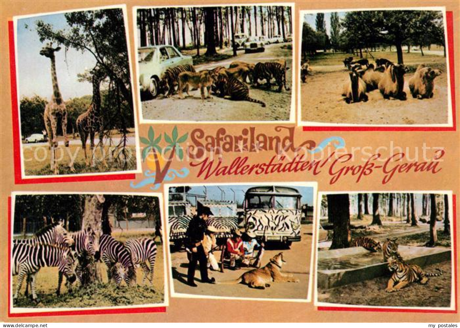 Gross-Gerau Safariland Wallerstaedten