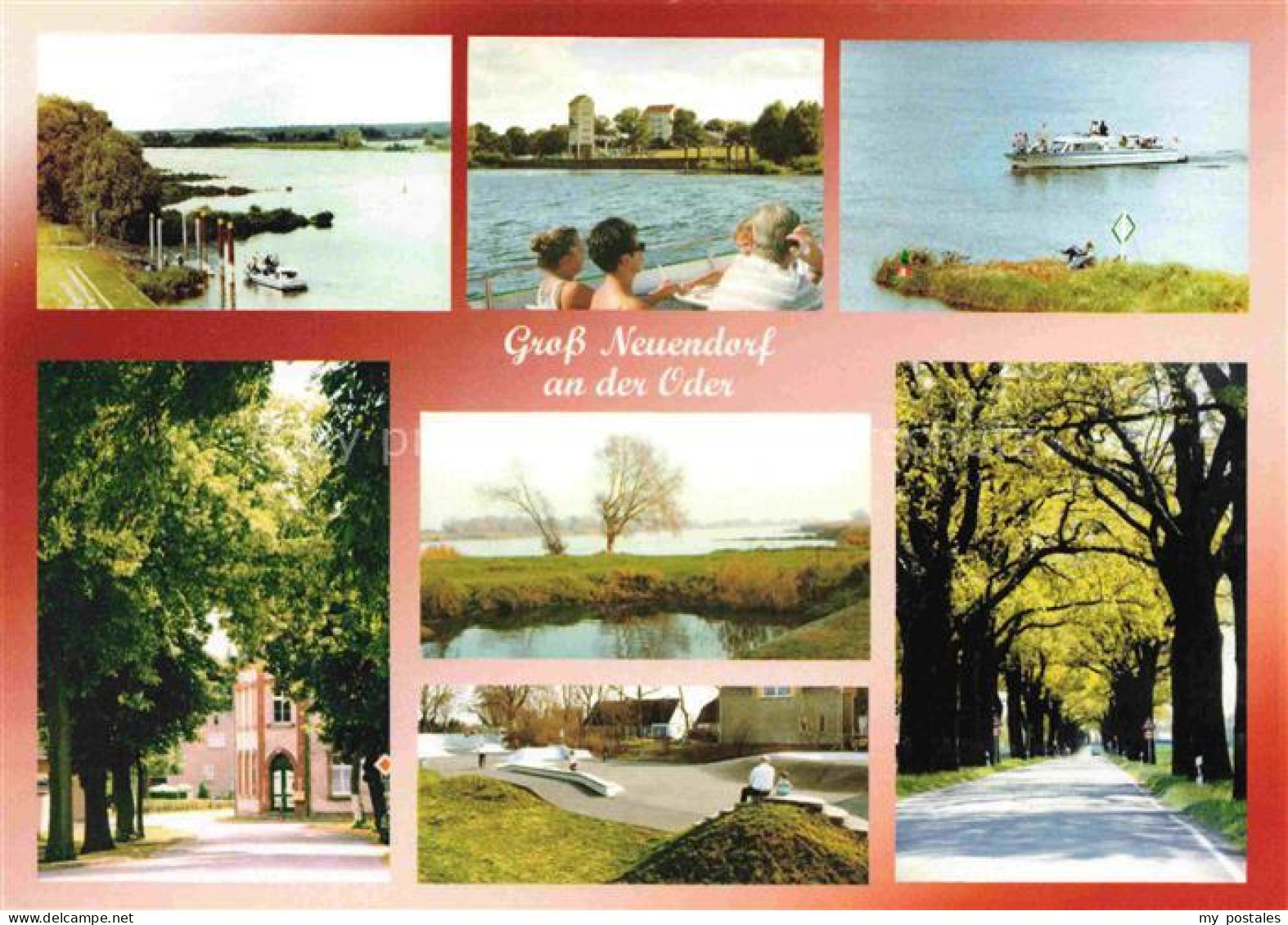 Gross Neuendorf Oderbruch Letschin Brandenburg Oderpartien Panorama Allee Faehrs