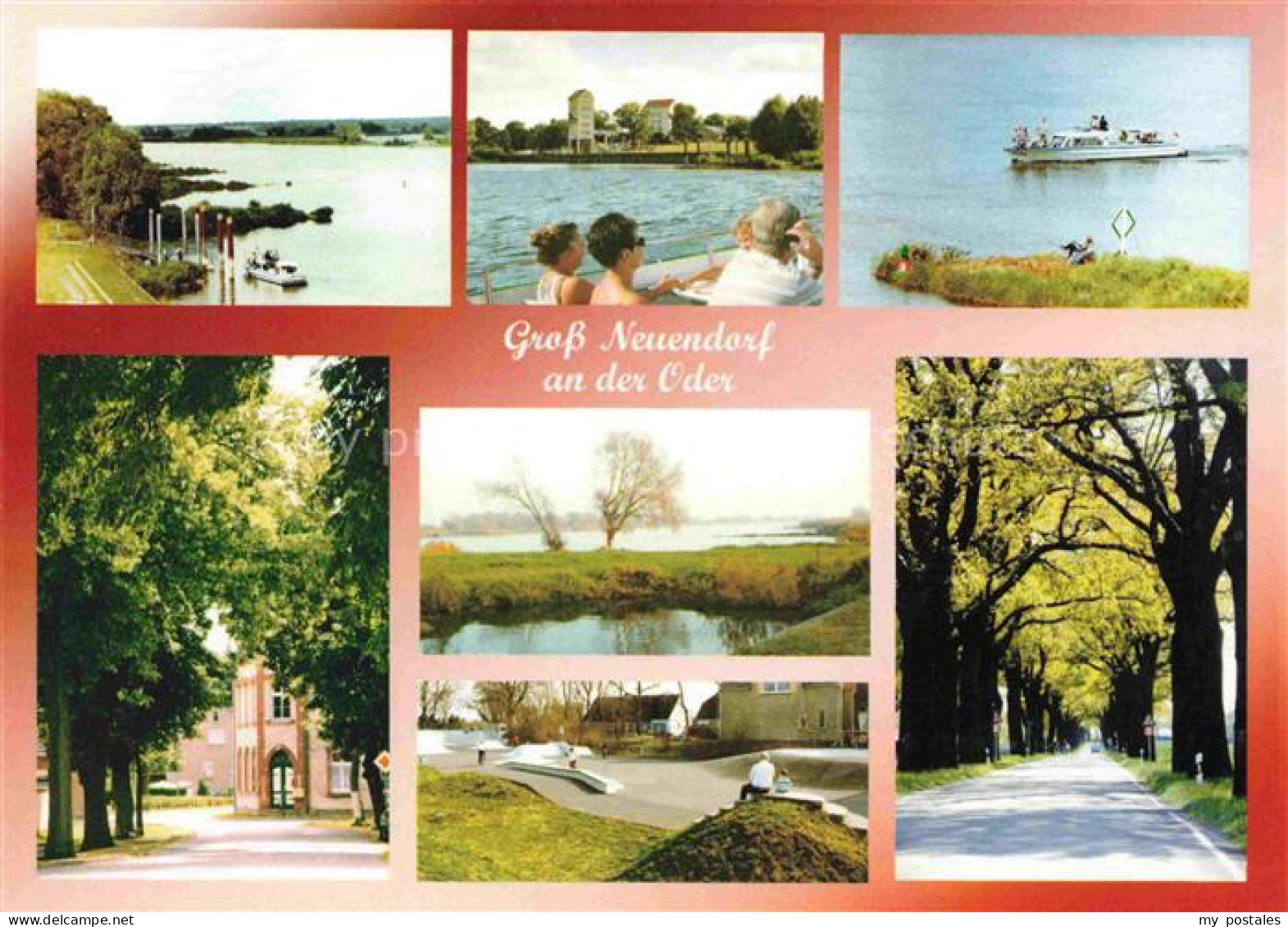 Gross Neuendorf Oderbruch Letschin Brandenburg Oderpartien Panorama Waldweg Fahr