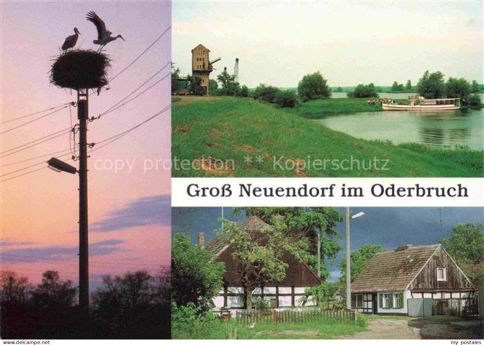 Gross Neuendorf Oderbruch Storchennest Anegesteg Bauernhaeuser