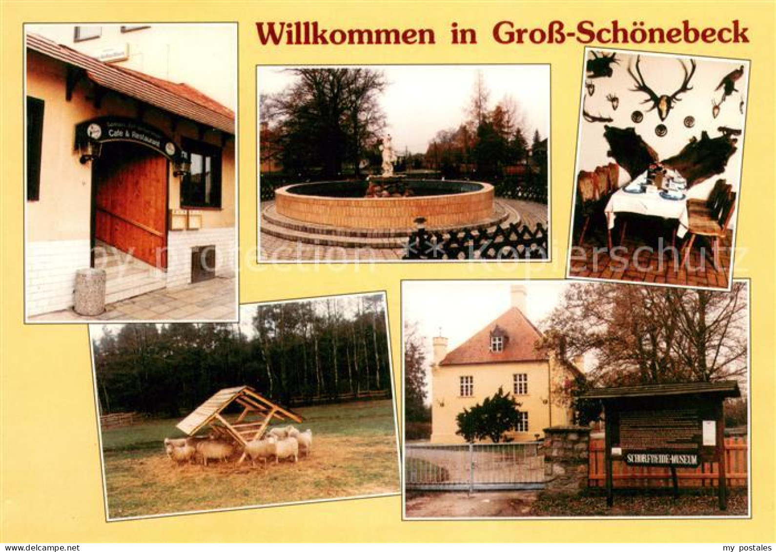 Gross Schoenebeck Gasthaus Zum Weissen Hirsch Brunnen Schafe