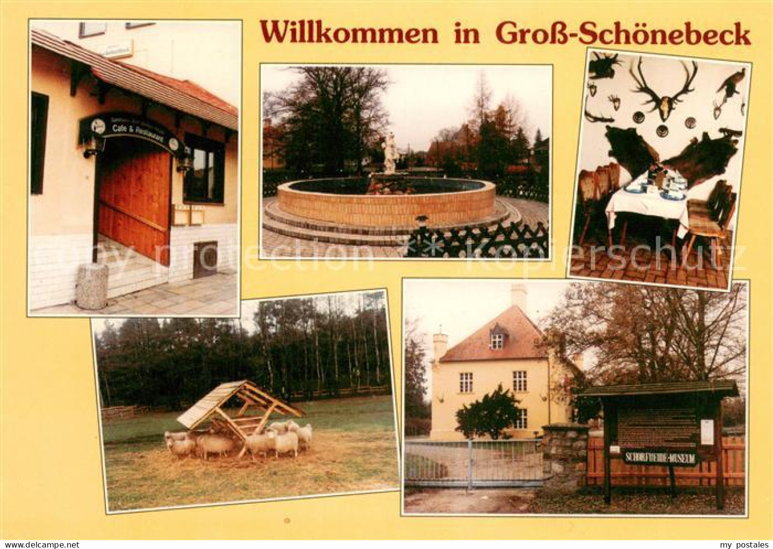 Gross Schoenebeck Gasthaus Zum Weissen Hirsch Schafe