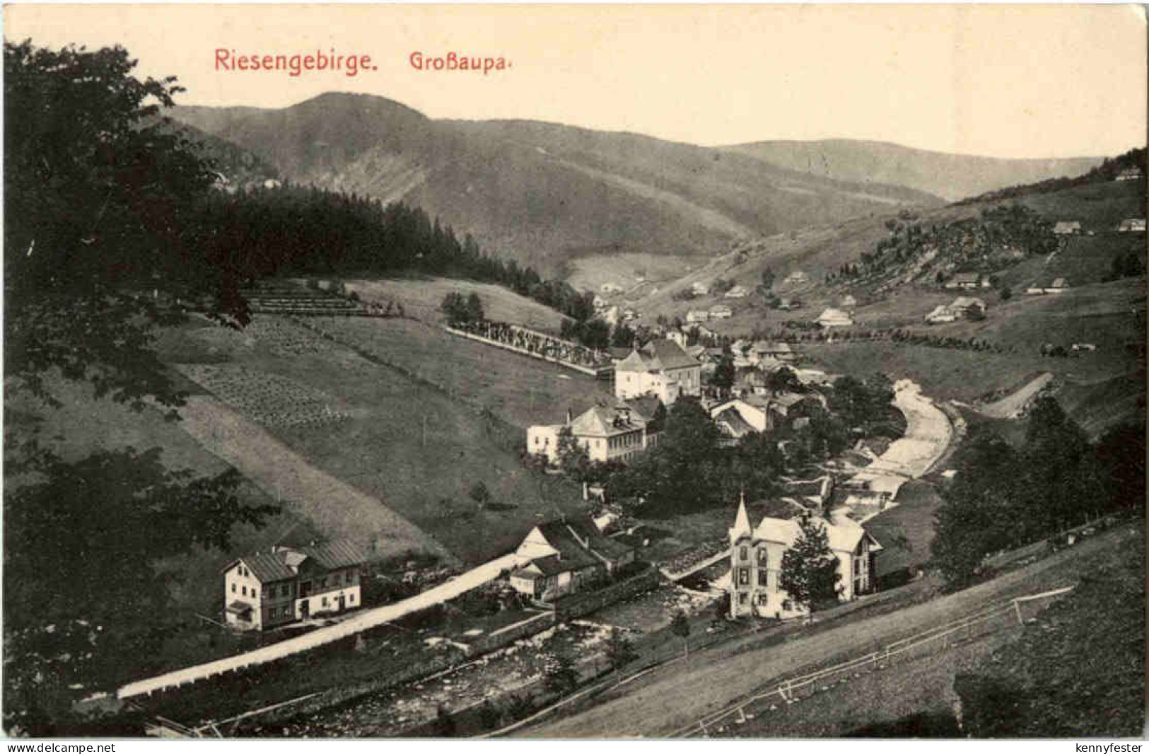 Grossaupa