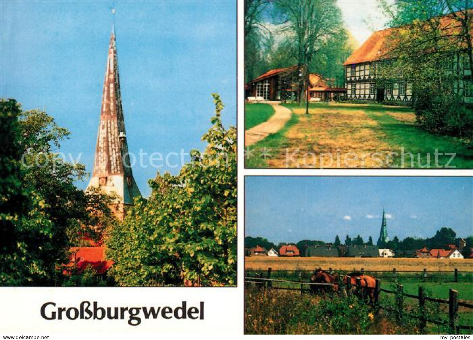 Grossburgwedel Kirche Fachwerkhaus Blick ueber die Felder Pferdekoppel