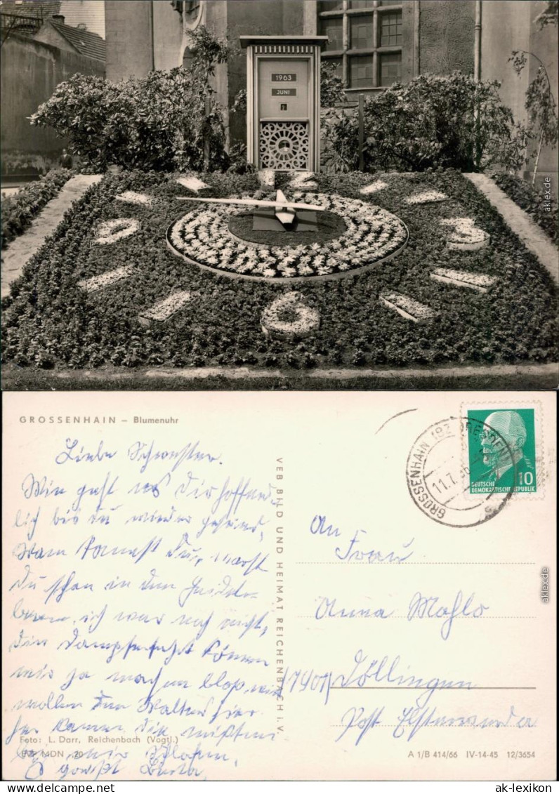 Großenhain Blumenuhr  Ansichtskarte 1966