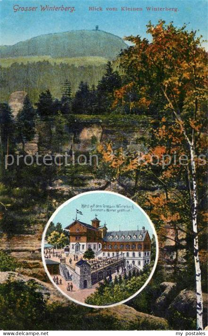 Grosser Winterberg Blick vom Kleinen Winterberg Berghotel