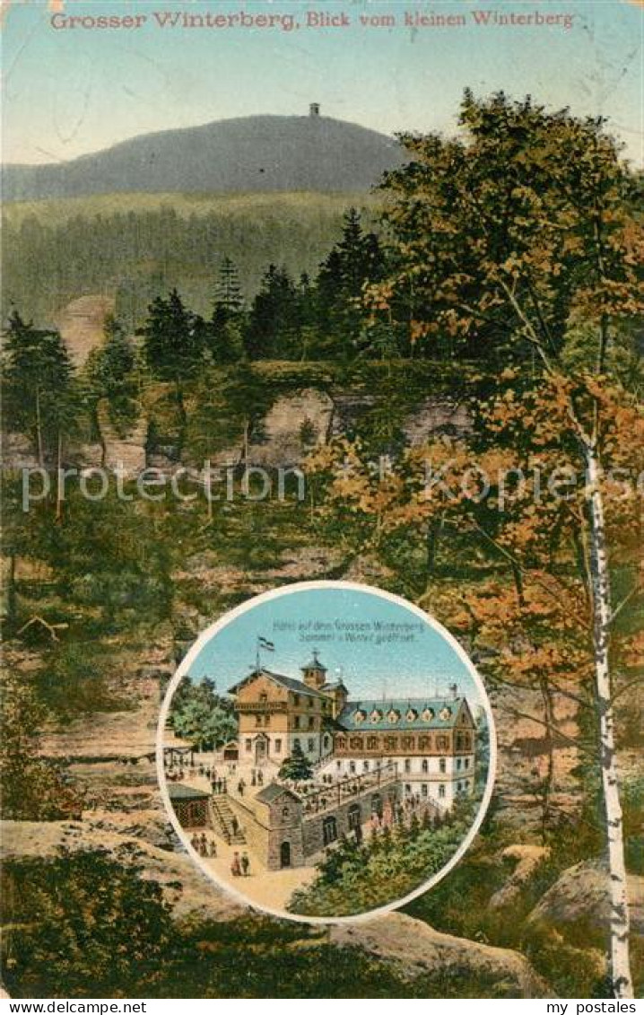 Grosser Winterberg Hotel grosser Winterberg