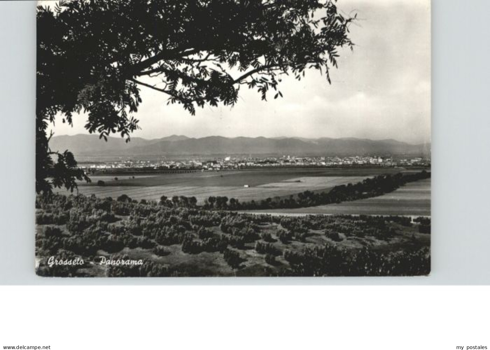 Grosseto Toscana Grosseto