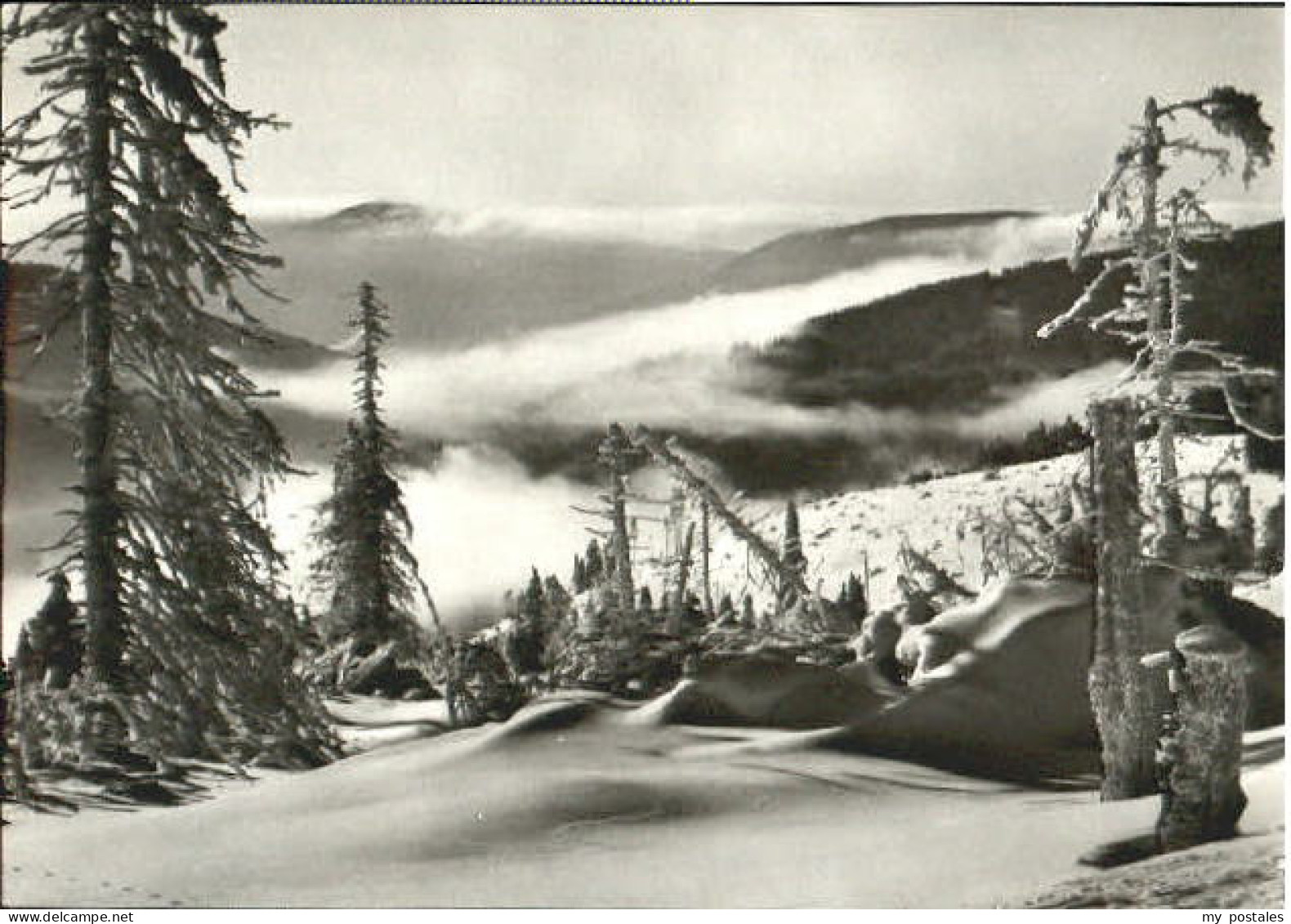 Grossharthau Grossharthau (Foto)