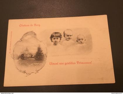 Luxembourg carte postale famille grand-ducale Adel royalty
