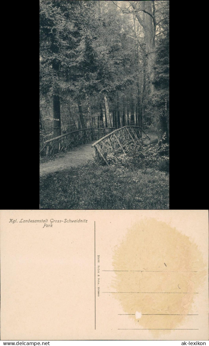 Großschweidnitz (OL) Swóca Kgl. Landesanstalt - Park 1913