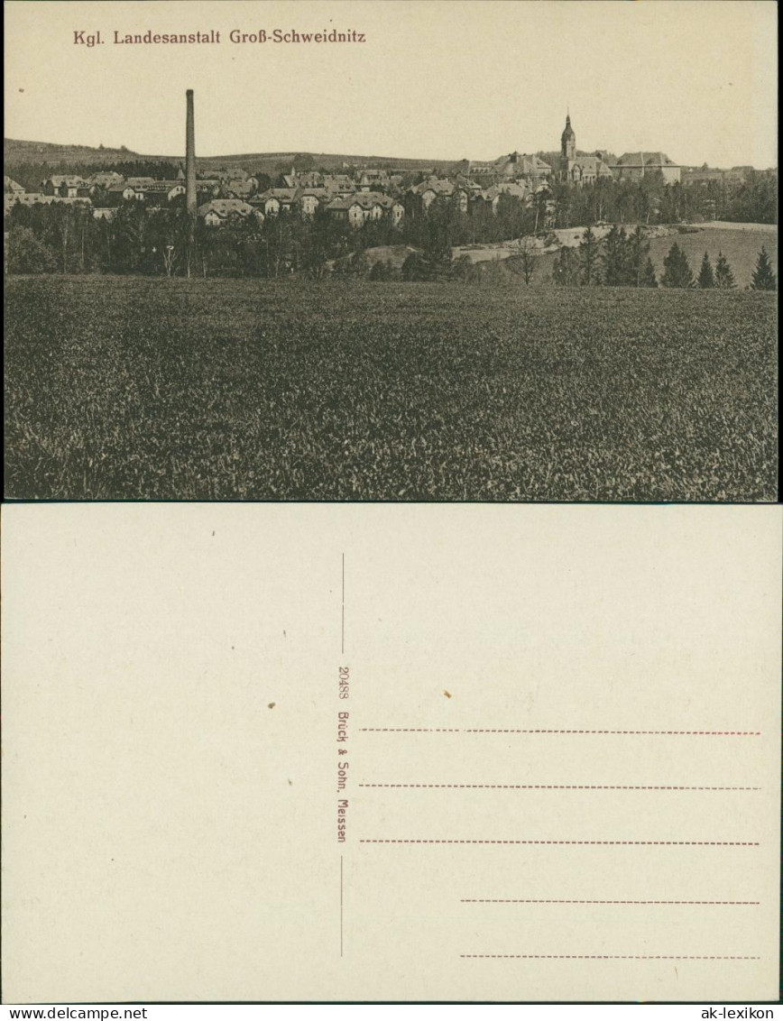 Großschweidnitz (OL) Swóńca Blick auf Stadt, Landesanstalt 1913