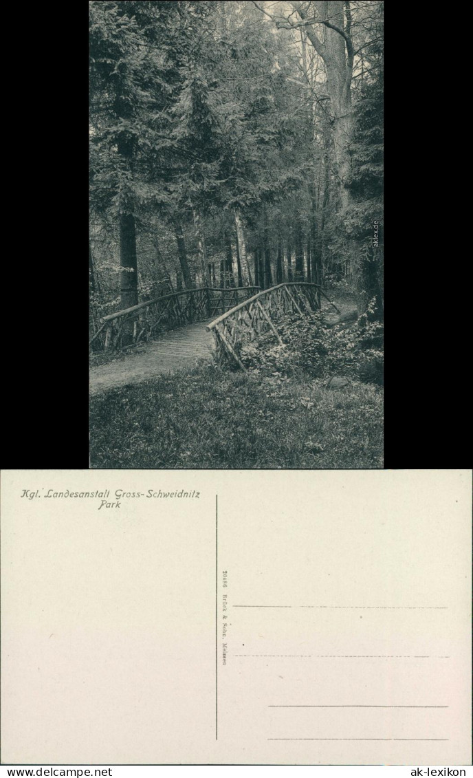 Großschweidnitz (OL) Swóńca Kgl. Landesanstalt - Park 1915