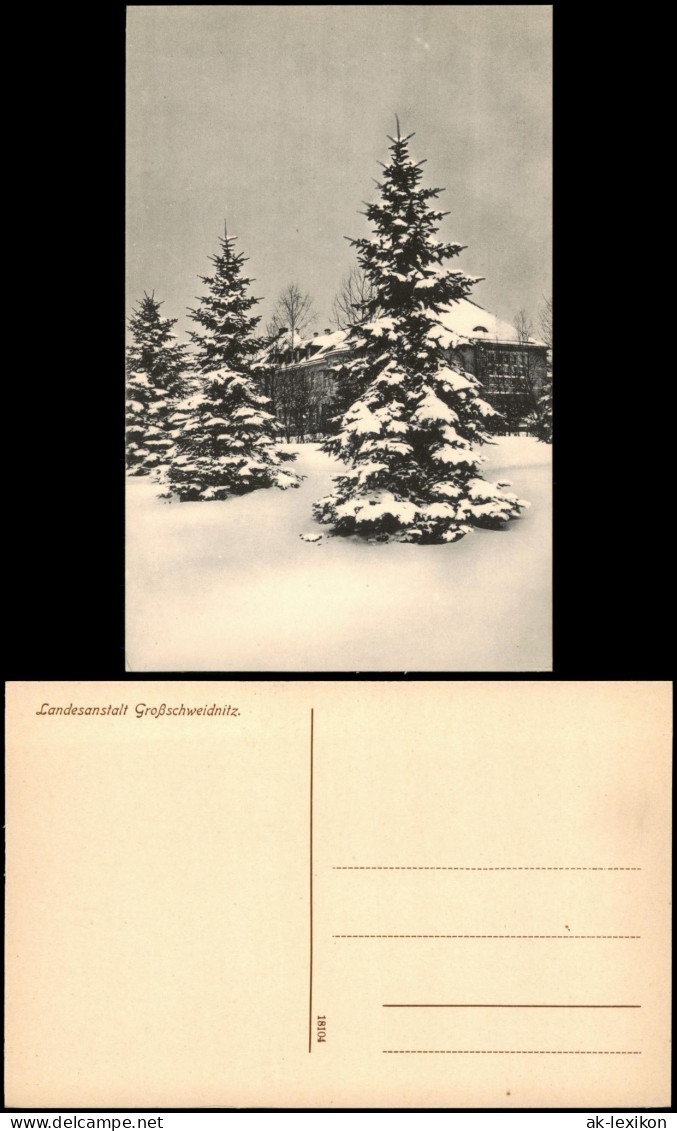 Großschweidnitz (OL) Swóńca Landesanstalt Tanne im Winter 1914