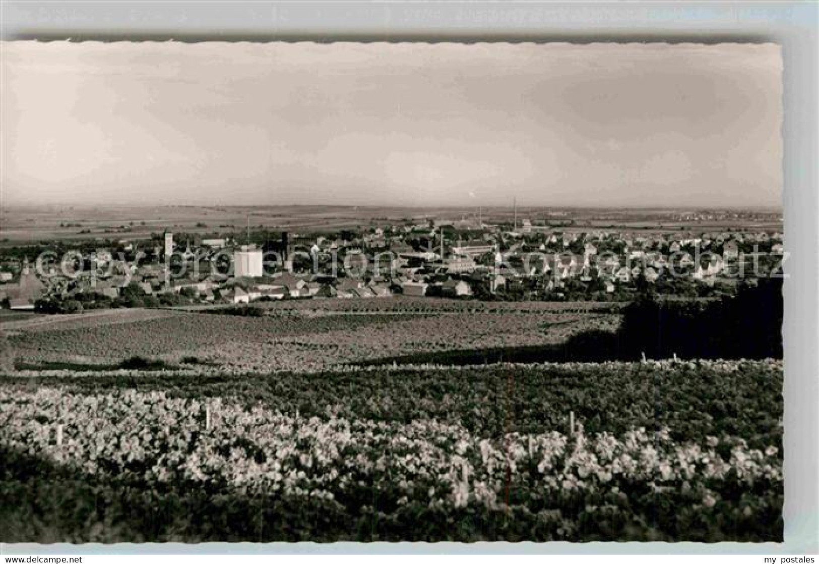 Gruenstadt Panorama