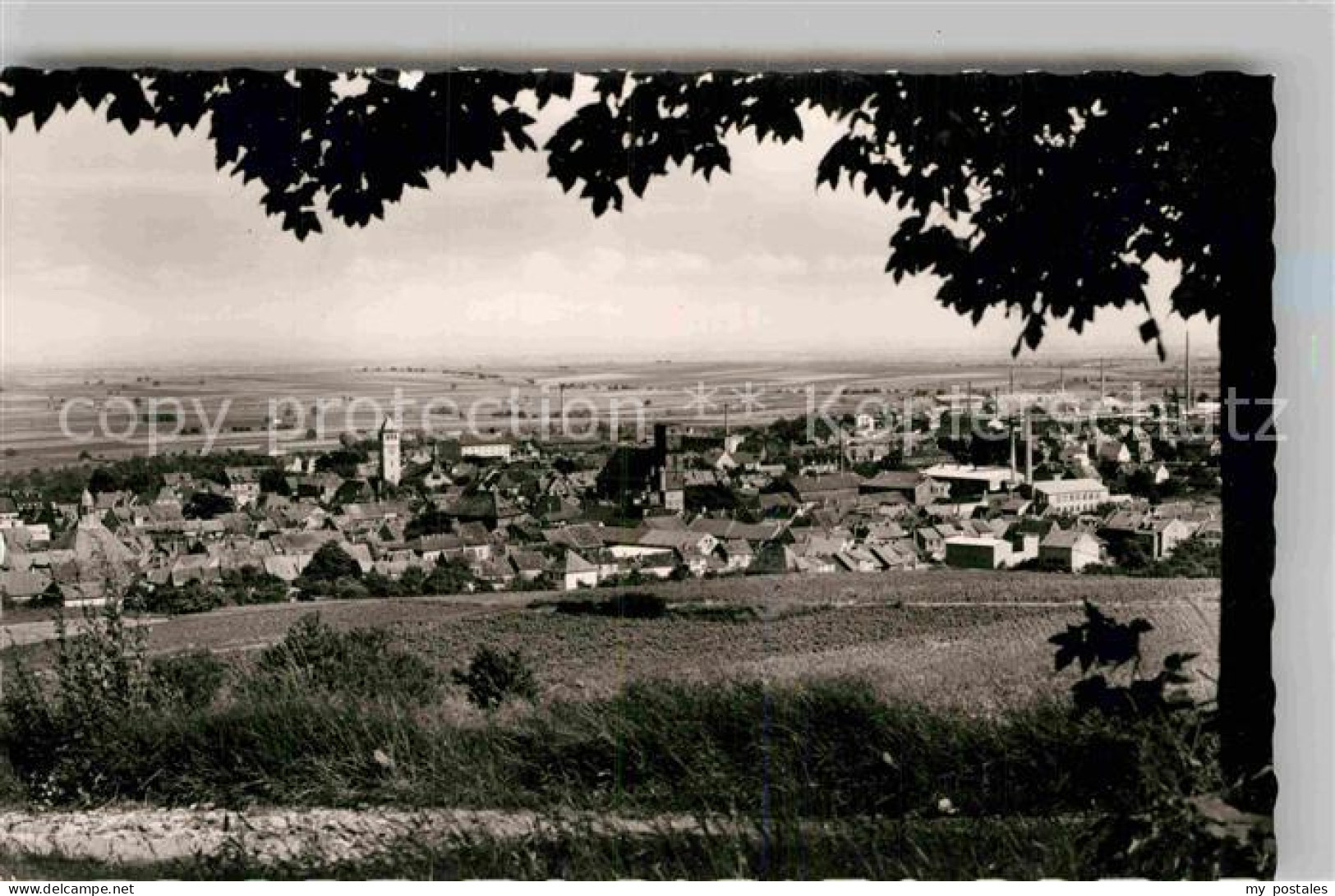 Gruenstadt Panorama