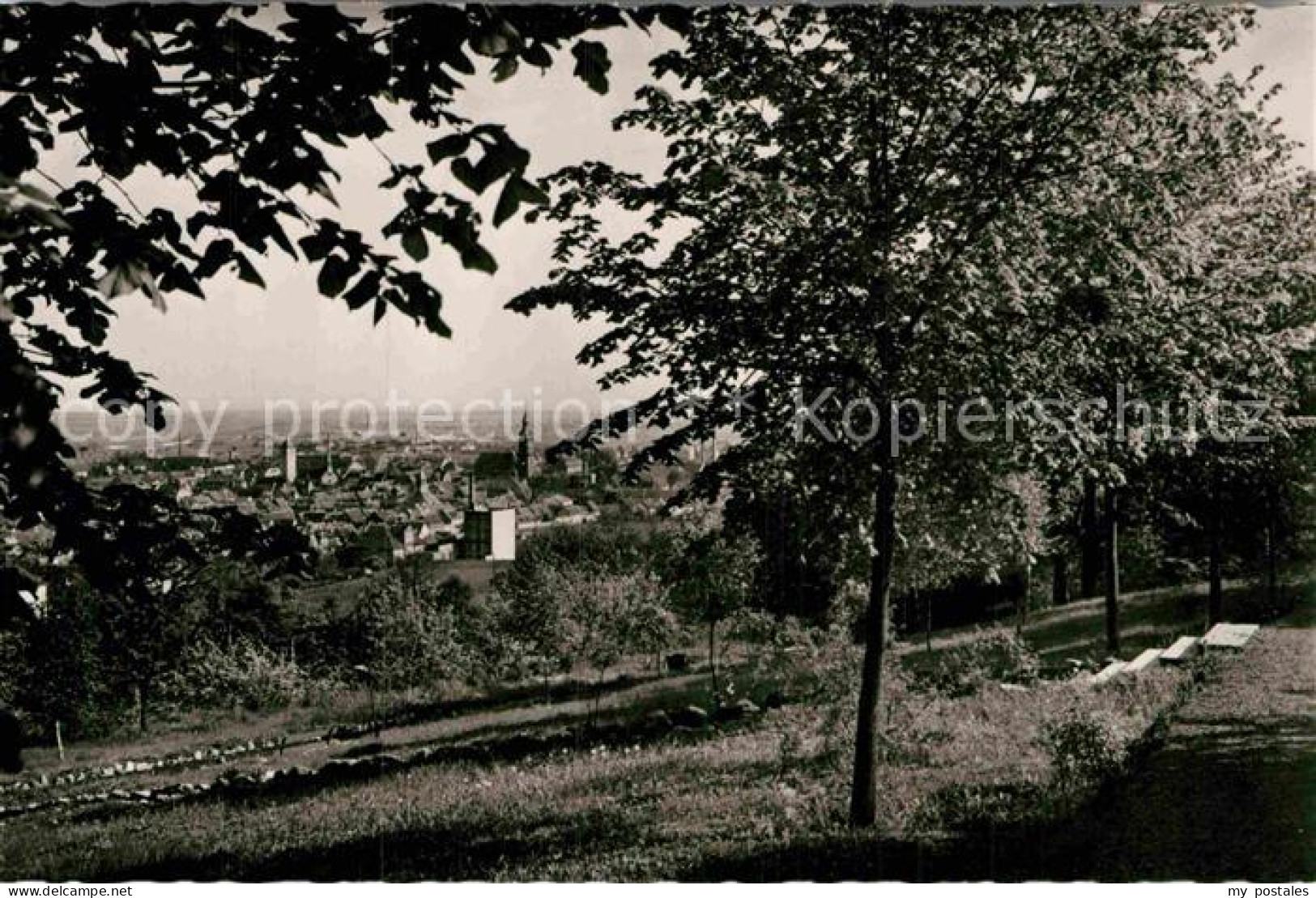 Gruenstadt Panorama