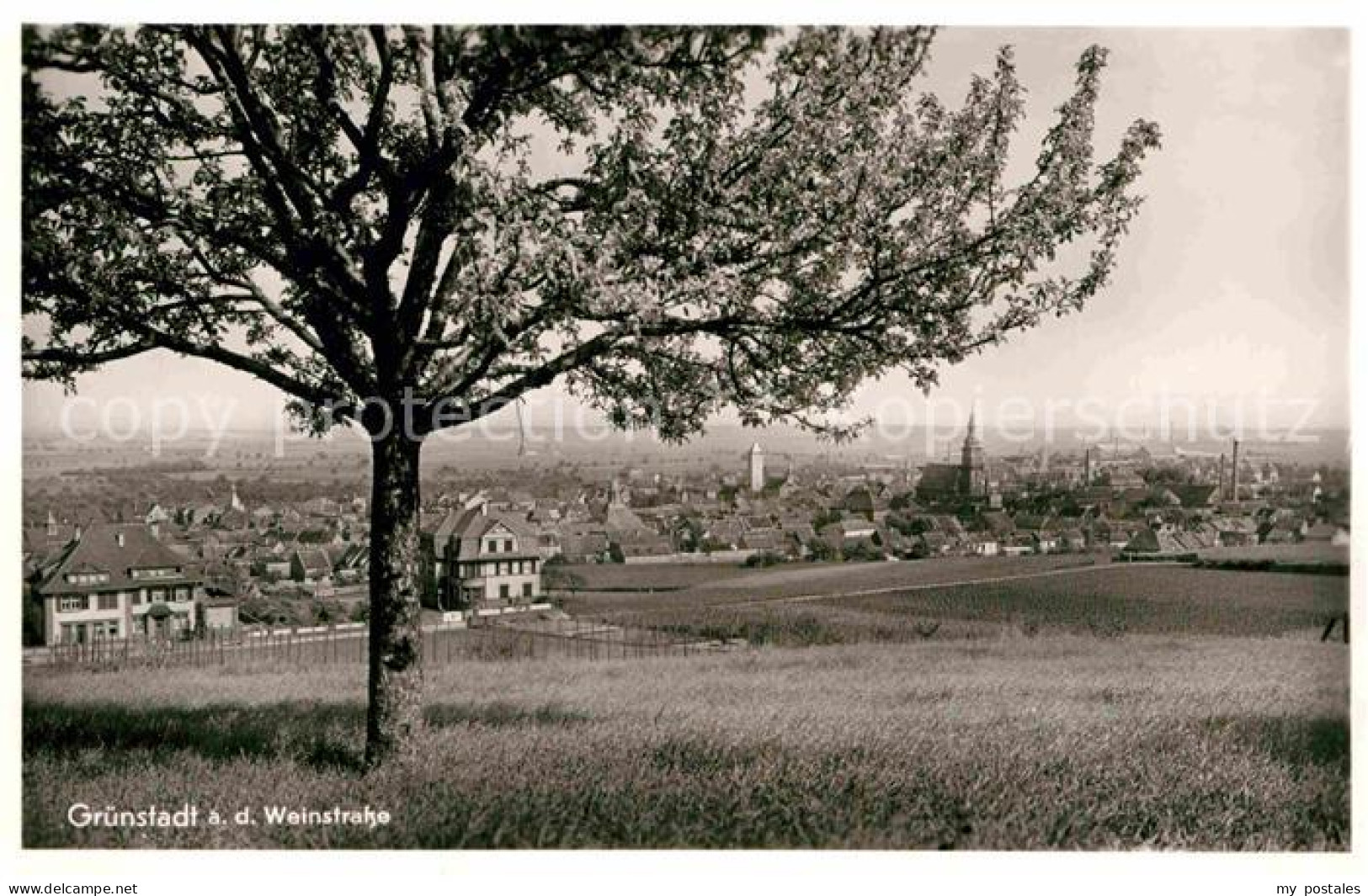 Gruenstadt Panorama